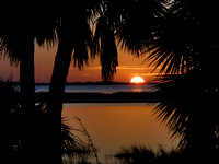 St. Joseph Bay State Buffer Preserve Sunset
